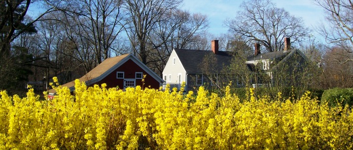 Cornucopia at Oldfield Bed & Breakfast 06.[1]